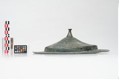 Foto von Bronzephalere (NHMW-PRAE-025544)